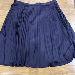 NWT Ann Taylor purple pleated skirt with silky underskirt. Zipper on back. 18
